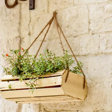 Nicola's House Luxury Loft * Bari