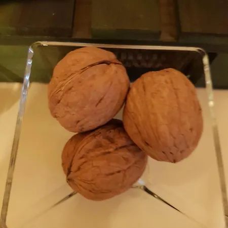 Nicola's House Luxury Loft Дом отдыха *